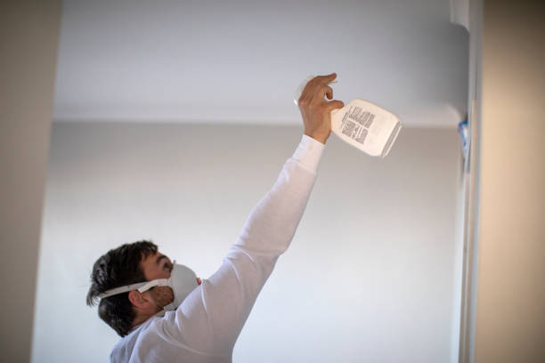 Best Black Mold Removal  in Montgomeryville, PA