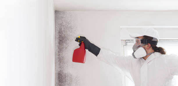 Best Commercial Mold Removal  in Montgomeryville, PA
